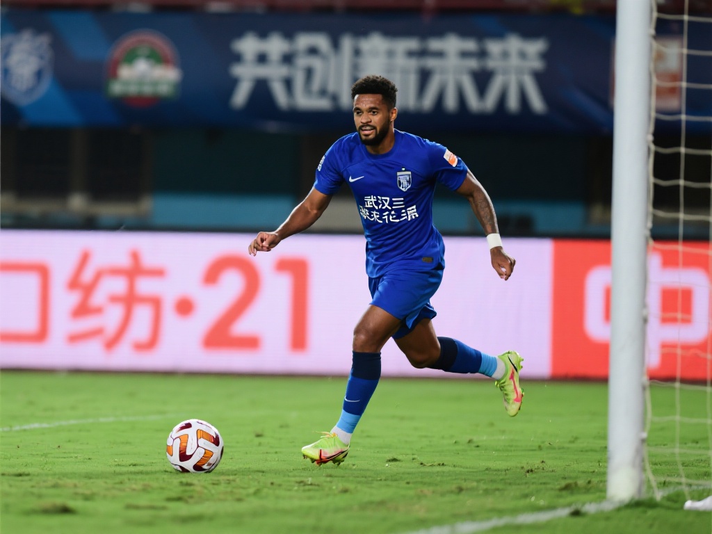 老将的存在 老将的存在