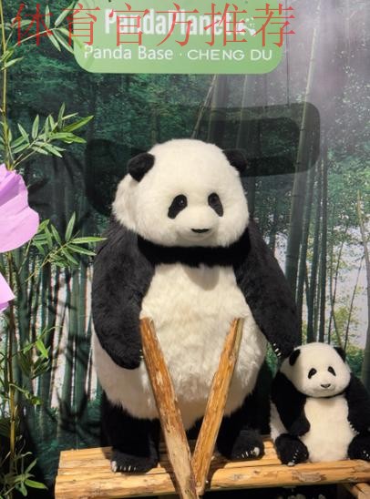 《熊猫说球》第二十一集:假摔 《熊猫说球》第二十一集:假摔